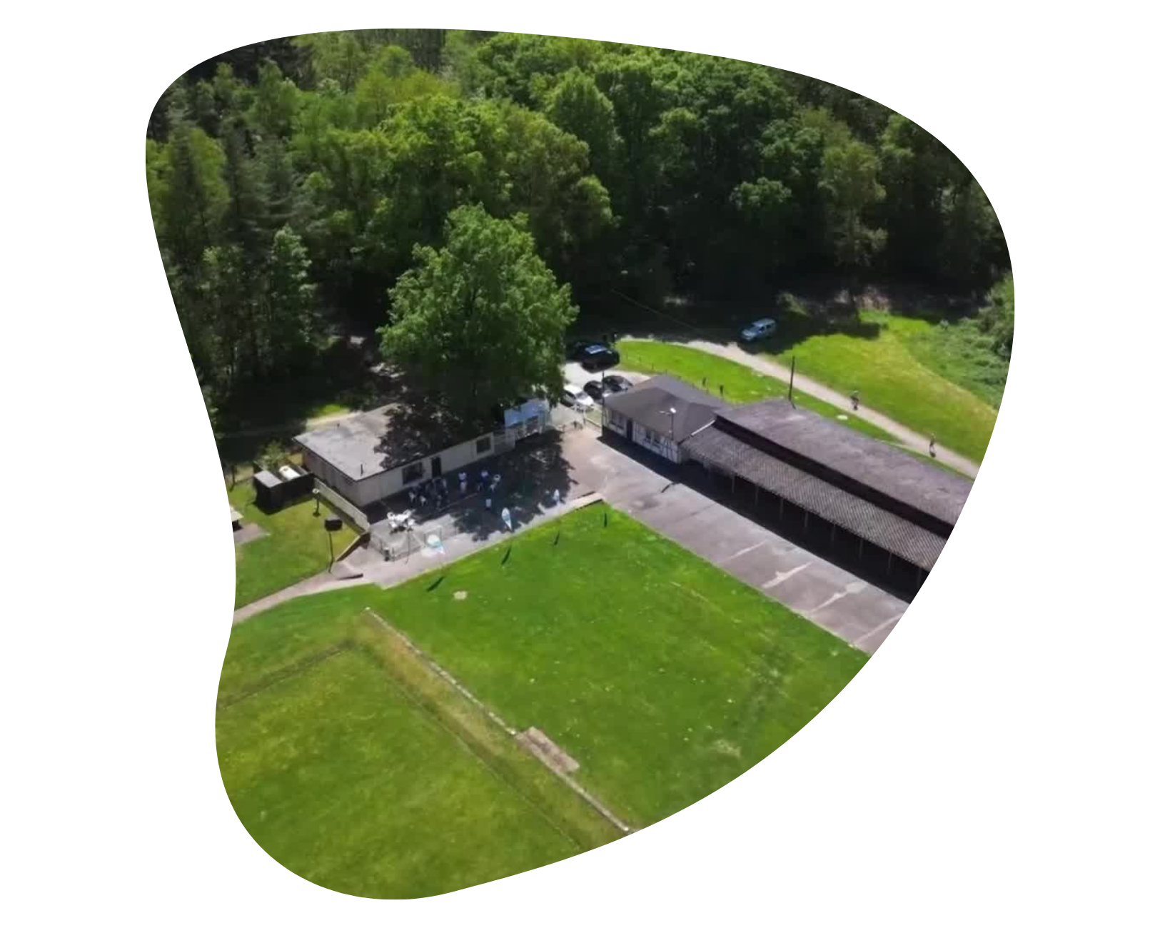 Bright Photo Collage